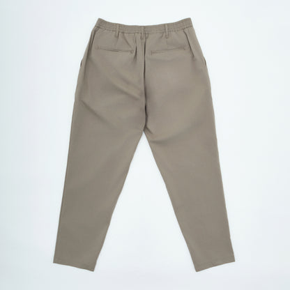 Relaxed Fit Pants| Pleated| Sage